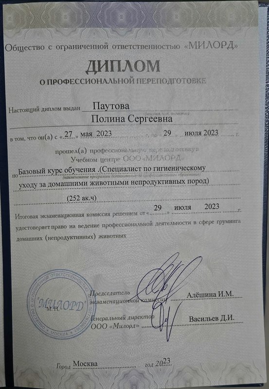 Документ или сертификат