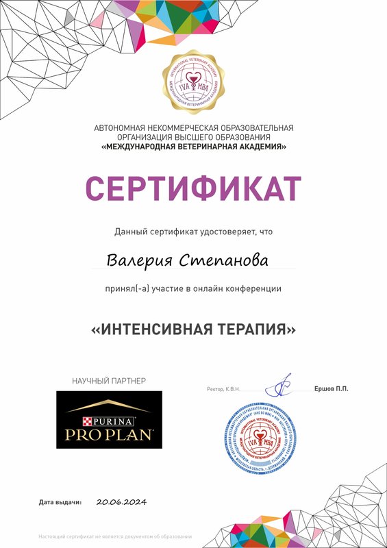 Документ или сертификат