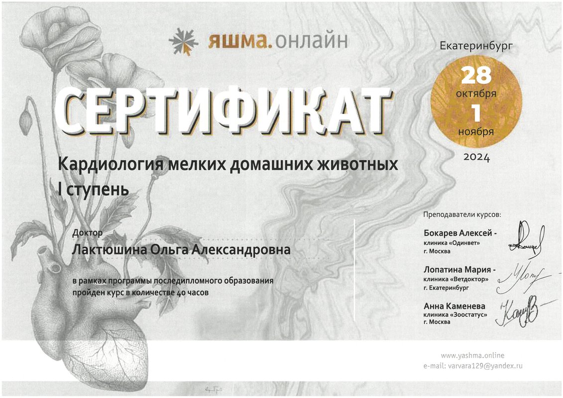 Документ или сертификат