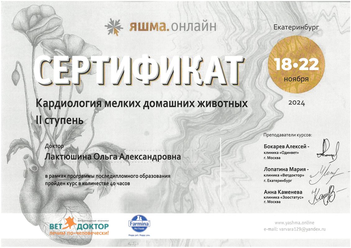 Документ или сертификат