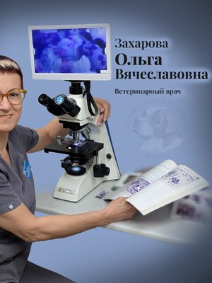 Фото врача Захарова Ольга Вячеславовна