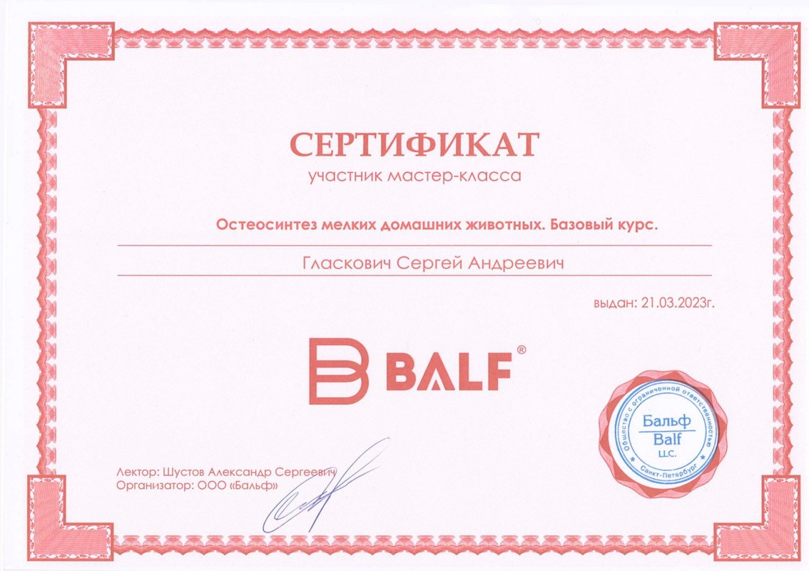 Документ или сертификат