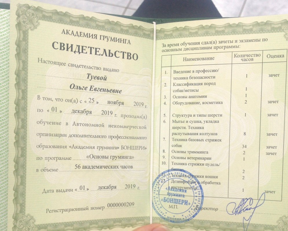 Документ или сертификат