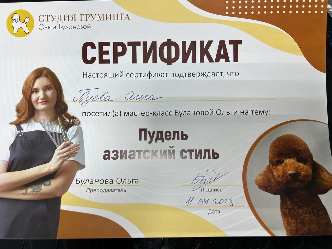 Документ или сертификат