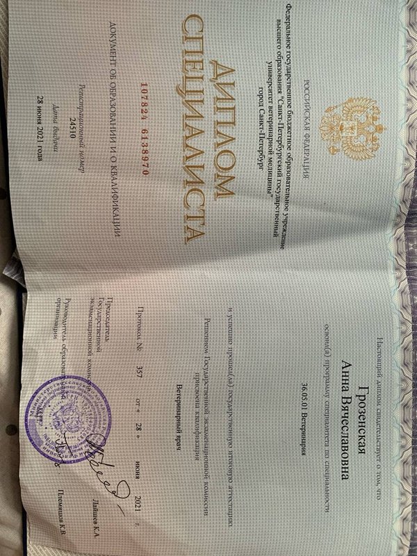 Документ или сертификат