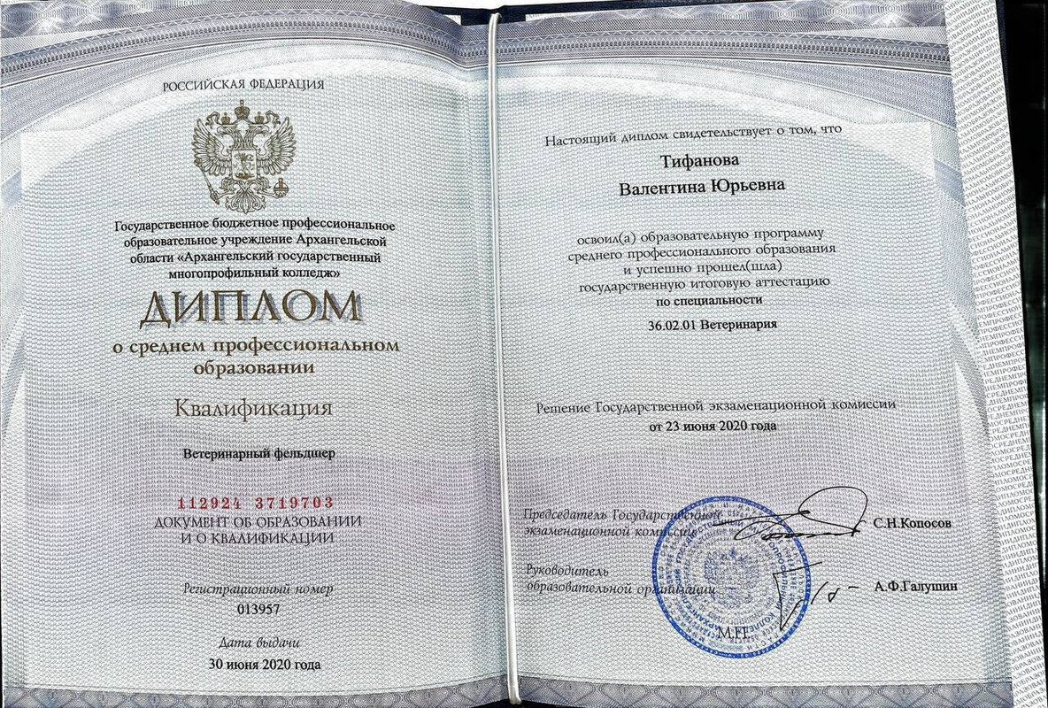 Документ или сертификат