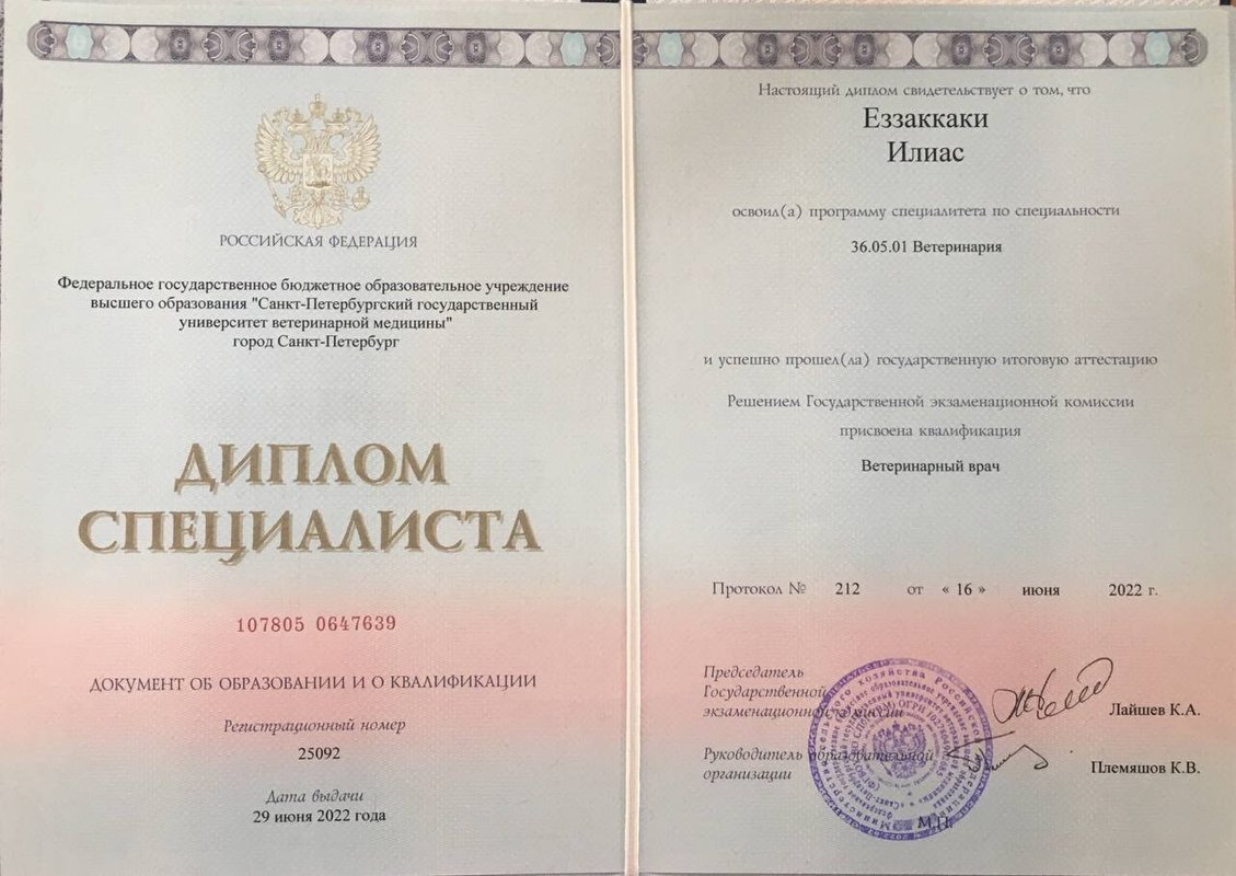 Документ или сертификат