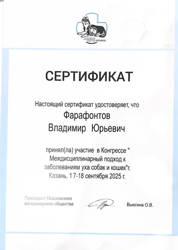 Документ или сертификат
