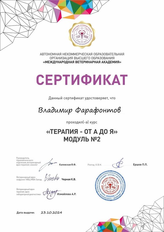 Документ или сертификат
