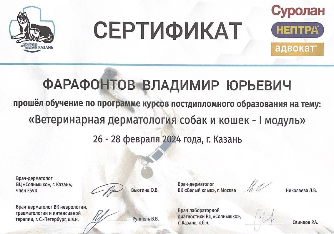 Документ или сертификат
