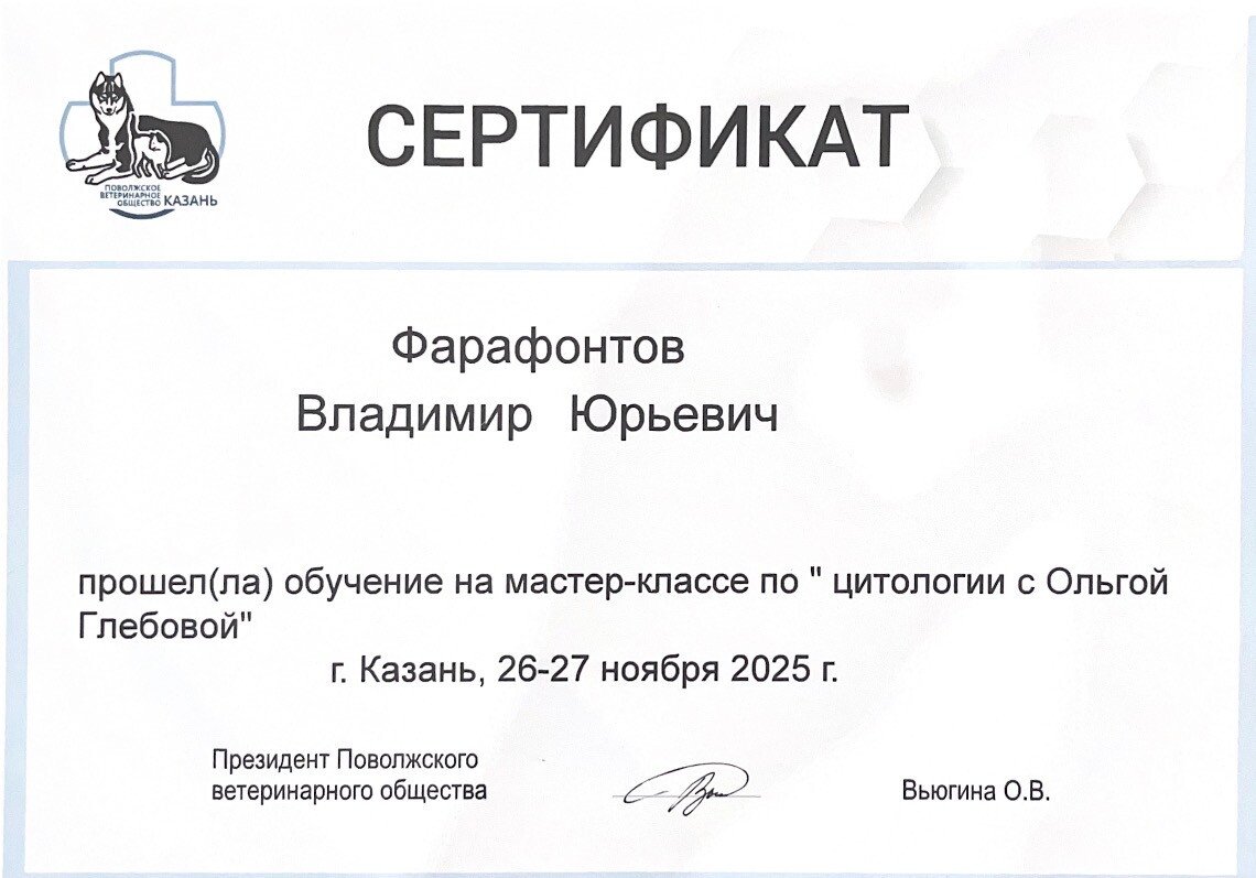 Документ или сертификат