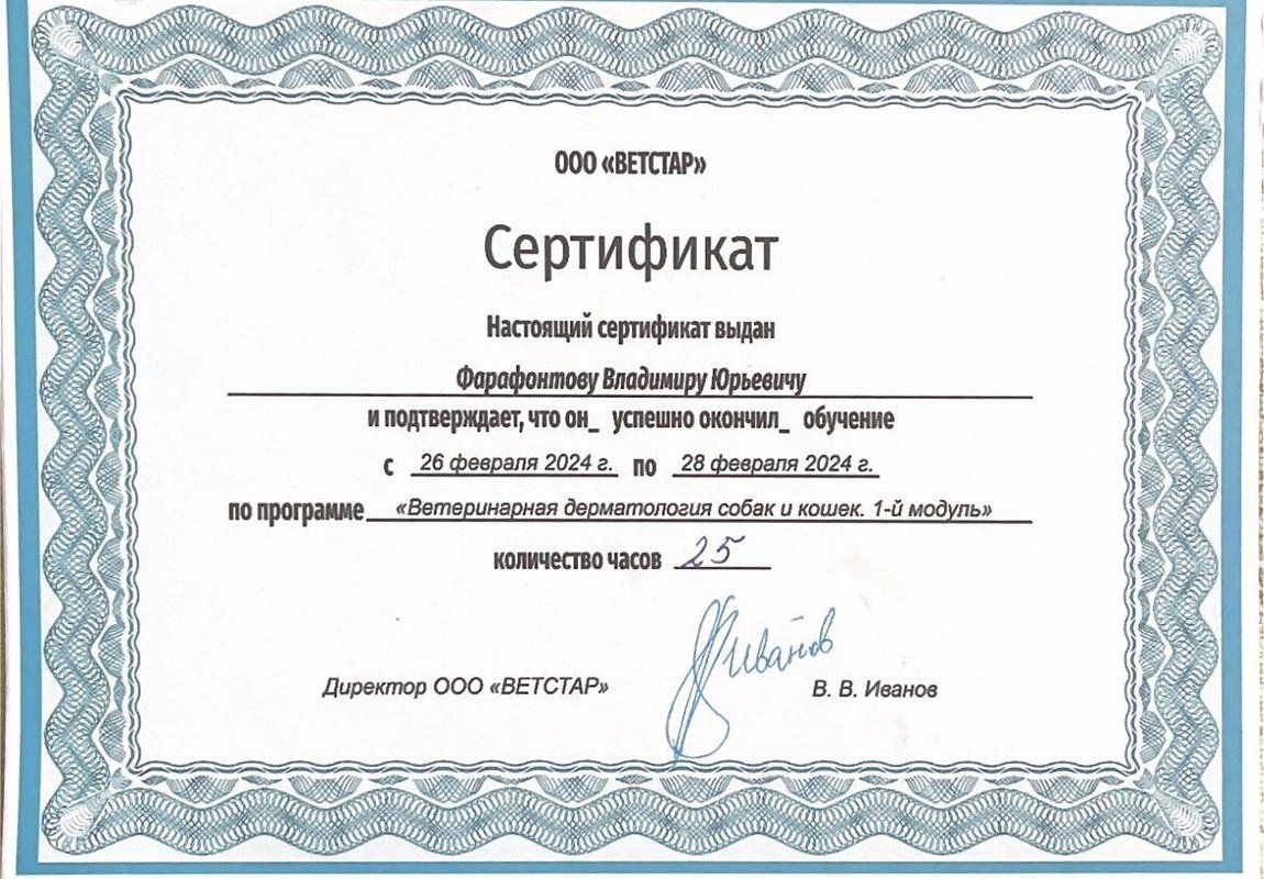 Документ или сертификат