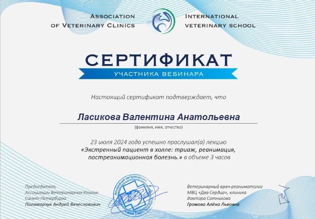 Документ или сертификат