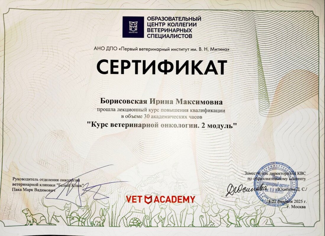 Документ или сертификат