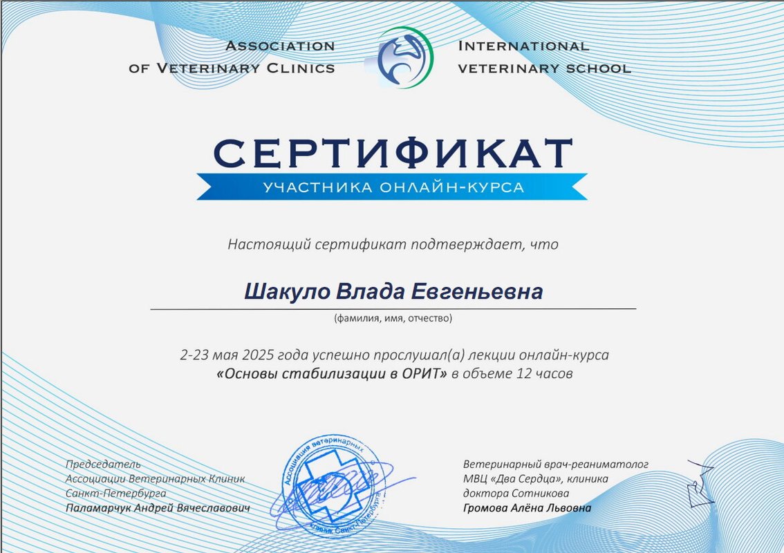 Документ или сертификат
