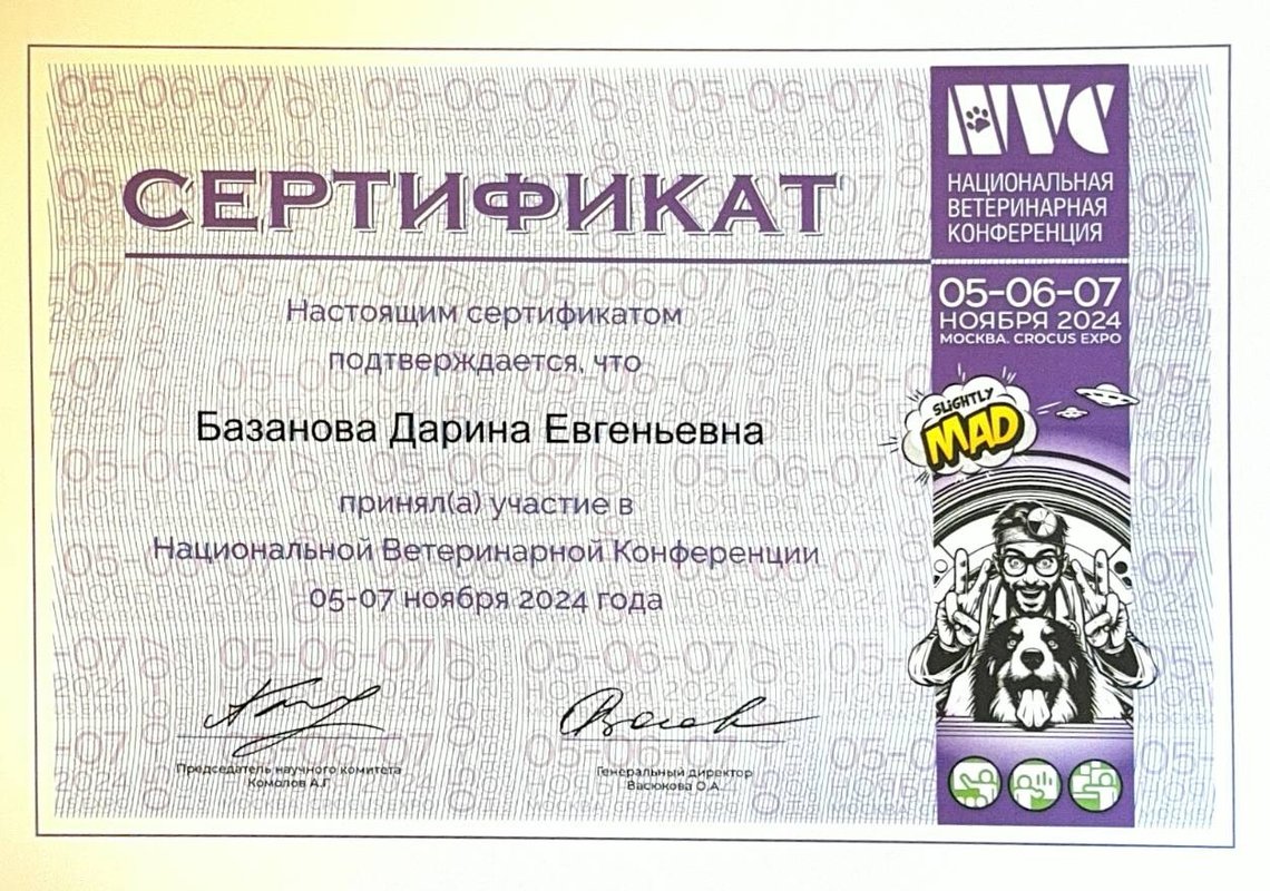 Документ или сертификат