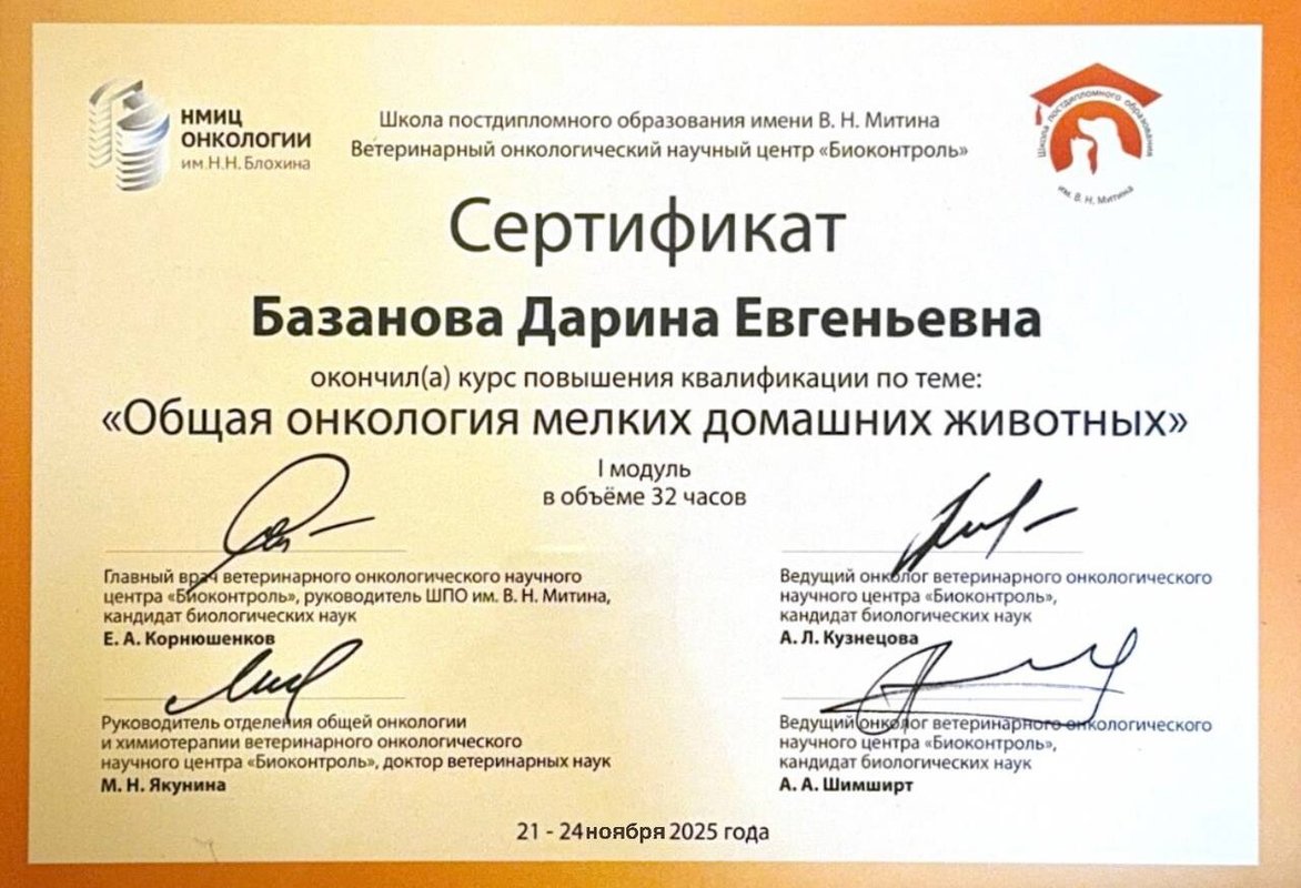 Документ или сертификат