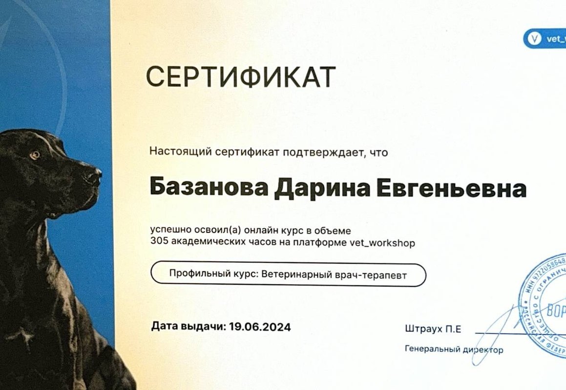 Документ или сертификат
