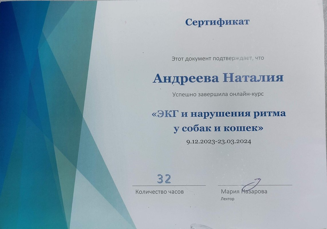 Документ или сертификат