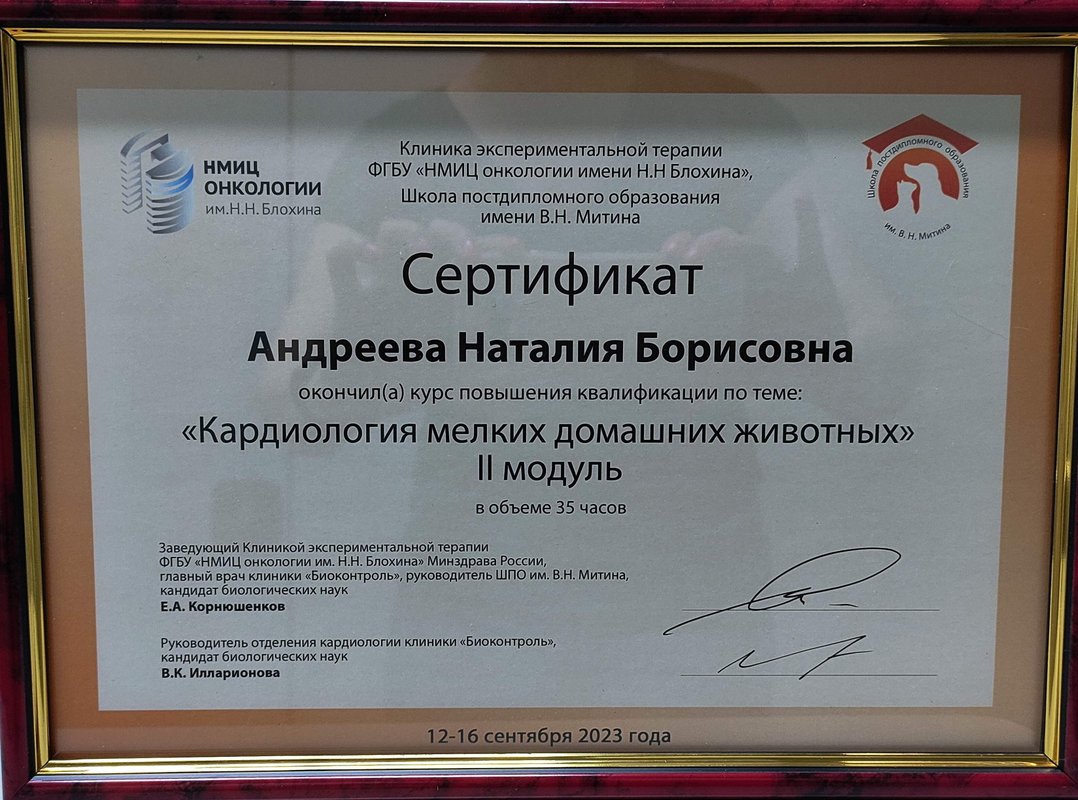 Документ или сертификат