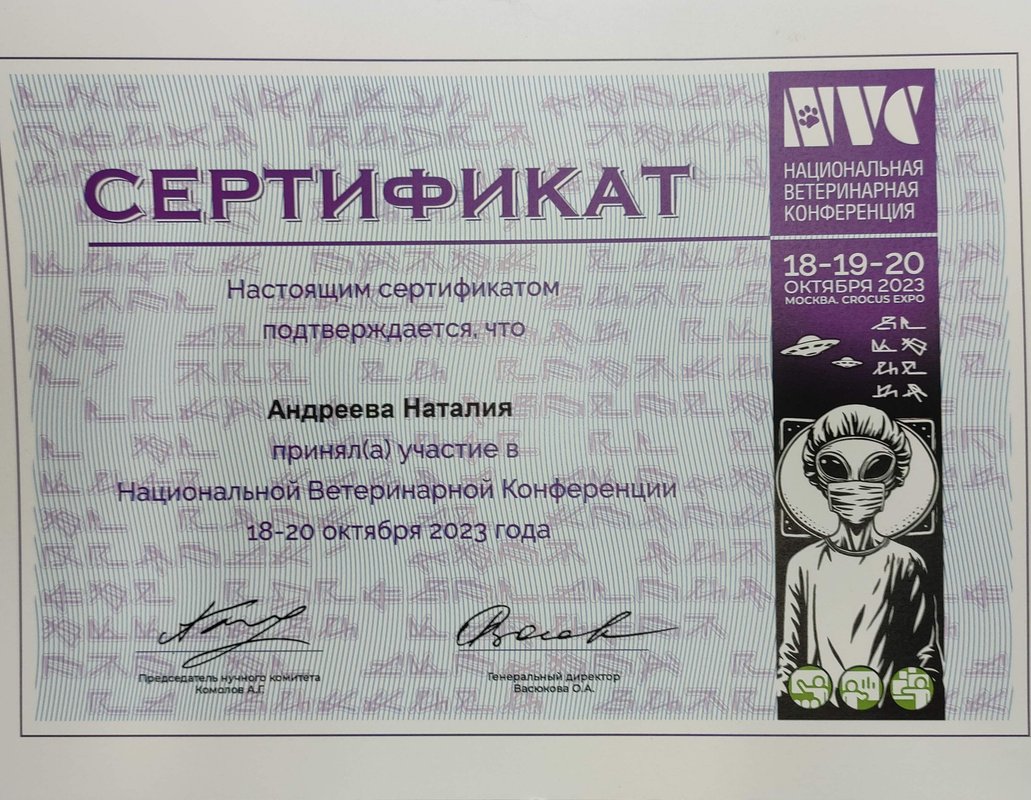 Документ или сертификат
