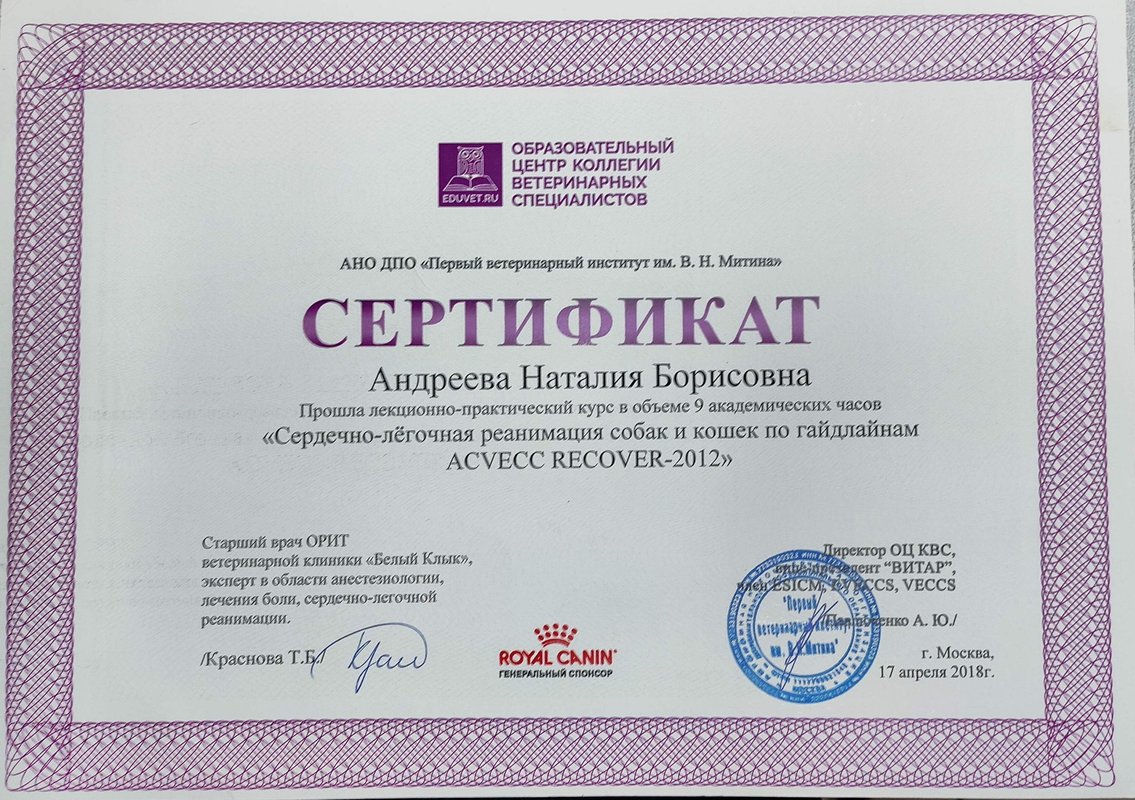 Документ или сертификат