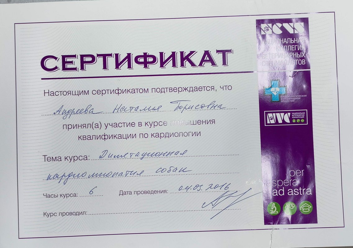 Документ или сертификат