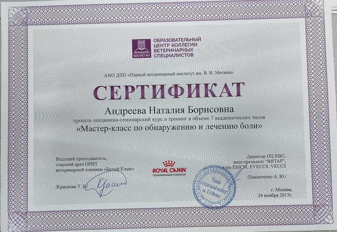 Документ или сертификат