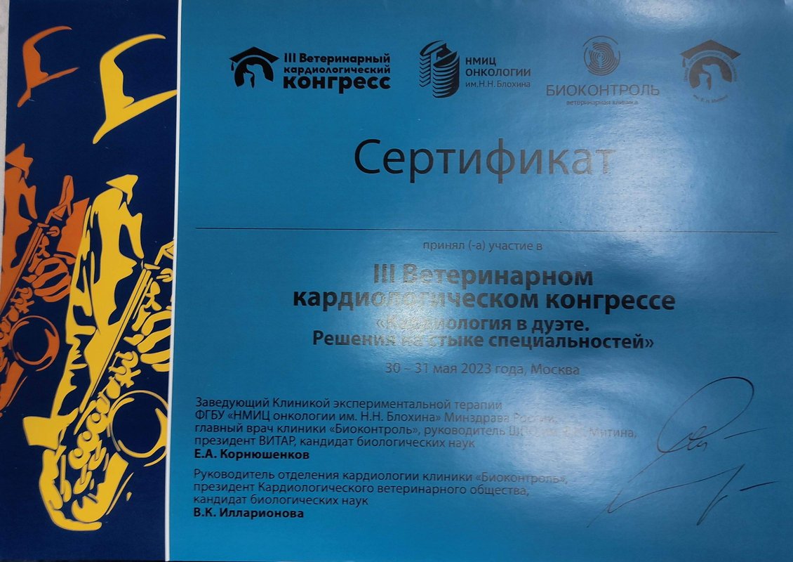 Документ или сертификат