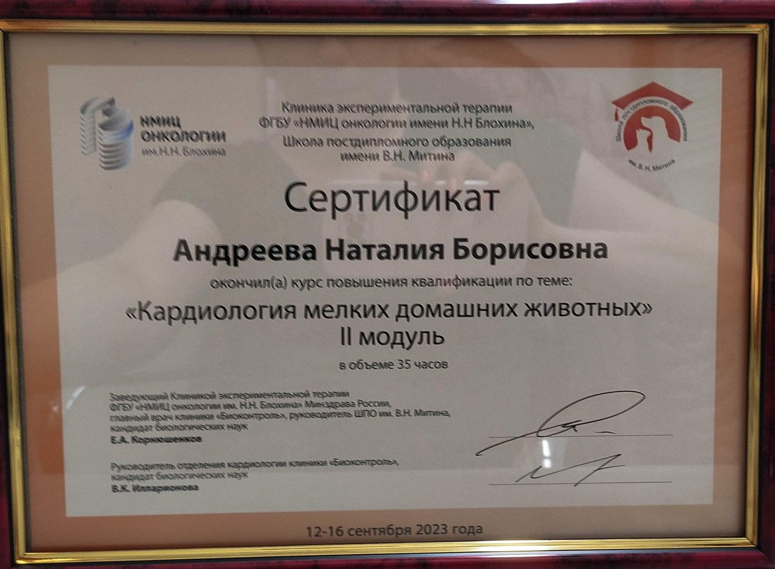 Документ или сертификат
