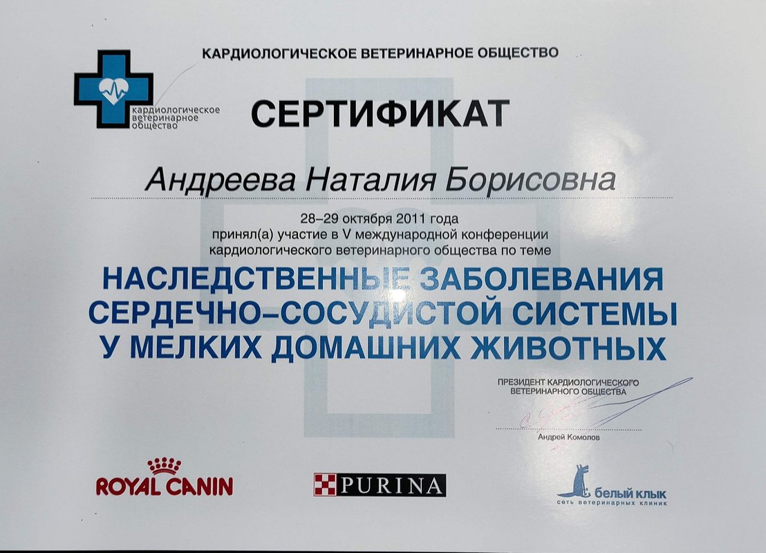 Документ или сертификат