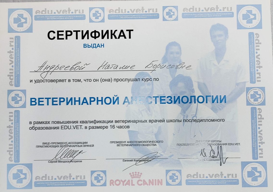 Документ или сертификат