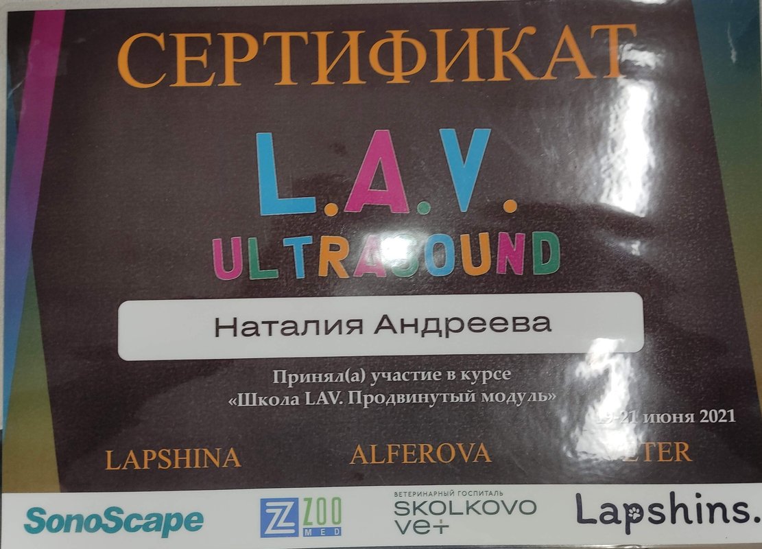 Документ или сертификат