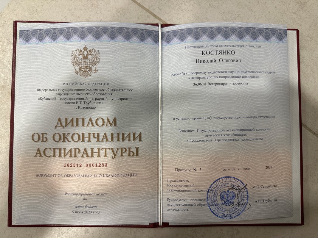 Документ или сертификат
