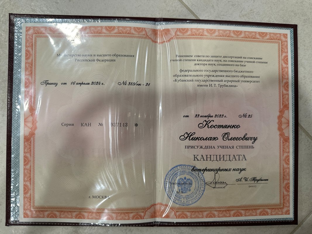 Документ или сертификат