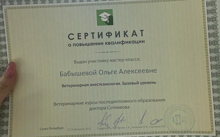 Документ или сертификат