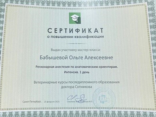 Документ или сертификат