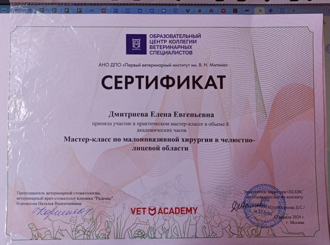 Документ или сертификат