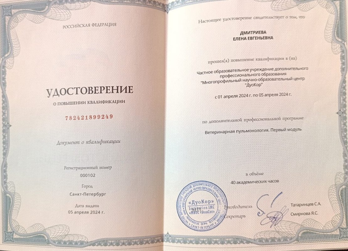 Документ или сертификат
