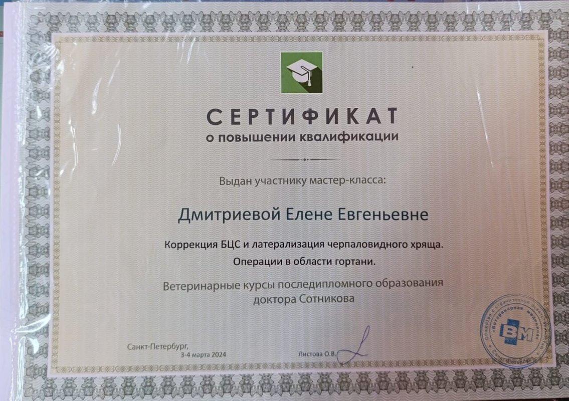 Документ или сертификат