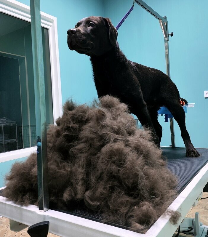 Фото врача