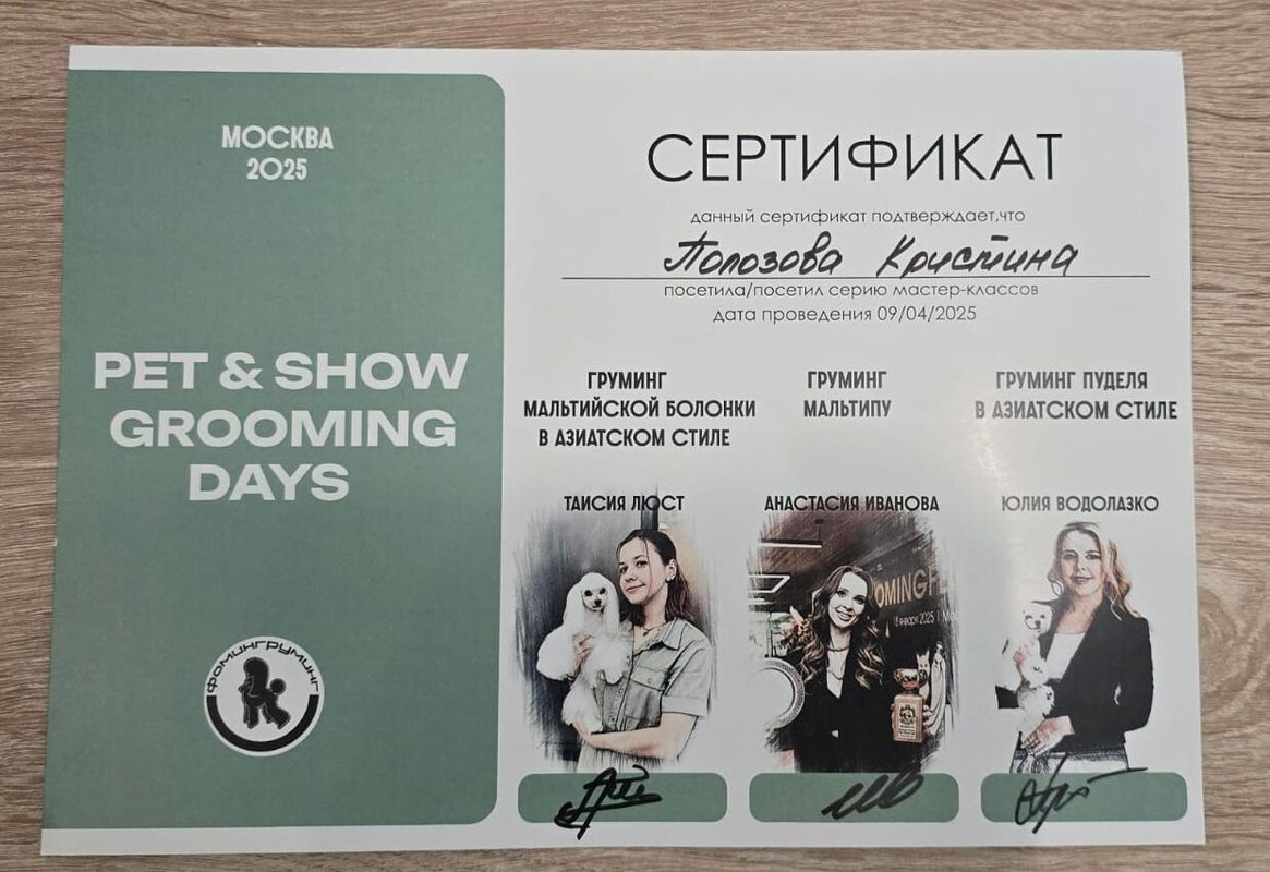 Документ или сертификат
