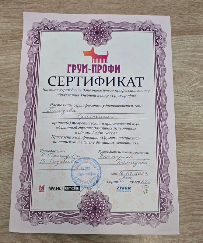 Документ или сертификат