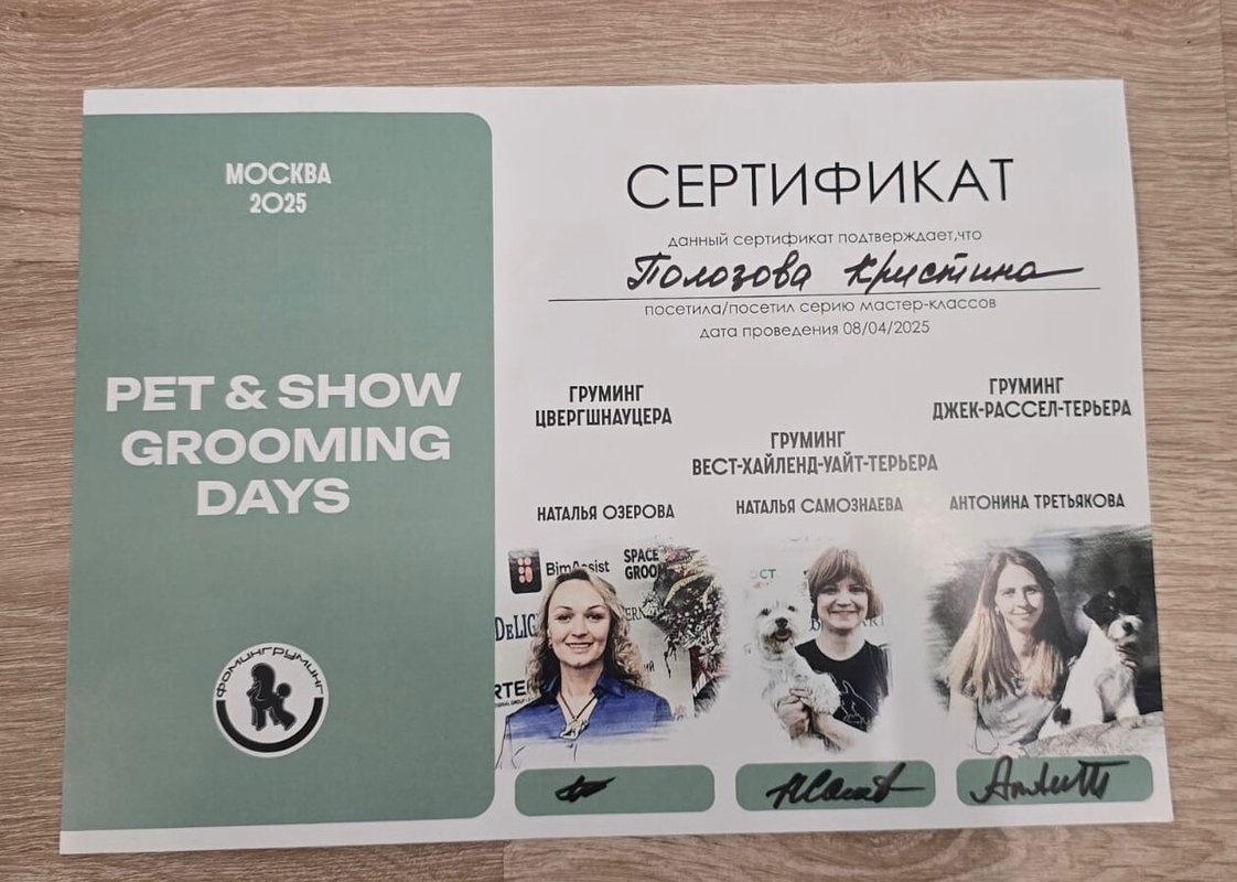 Документ или сертификат