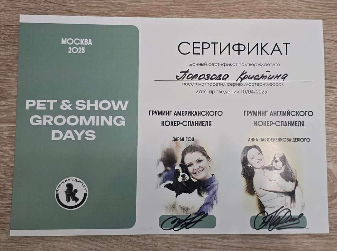 Документ или сертификат
