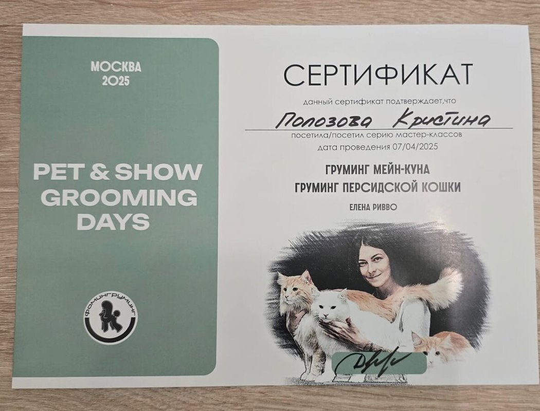 Документ или сертификат