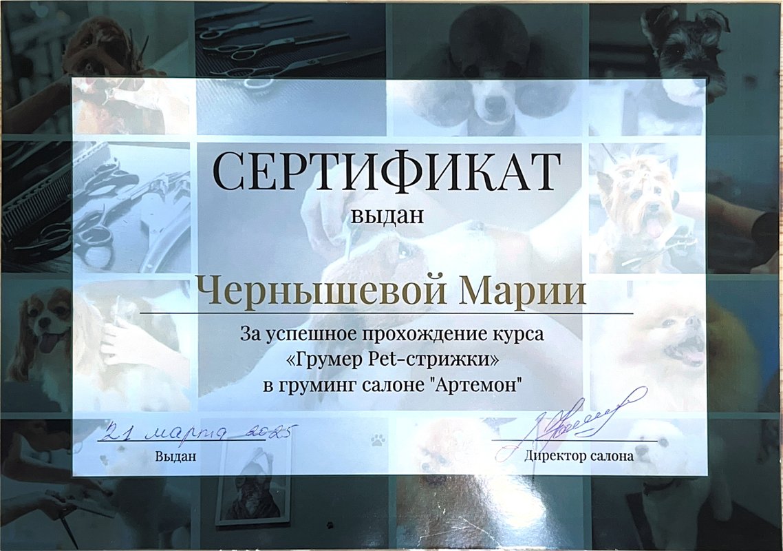 Документ или сертификат