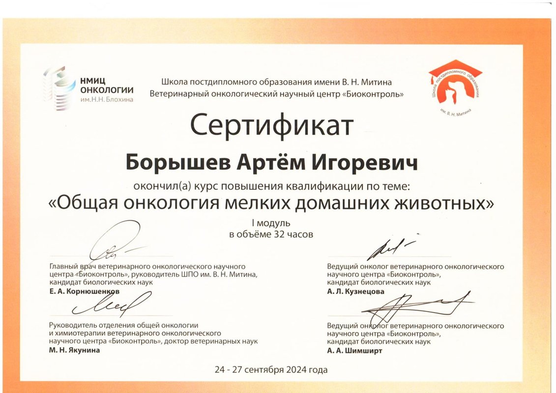 Документ или сертификат