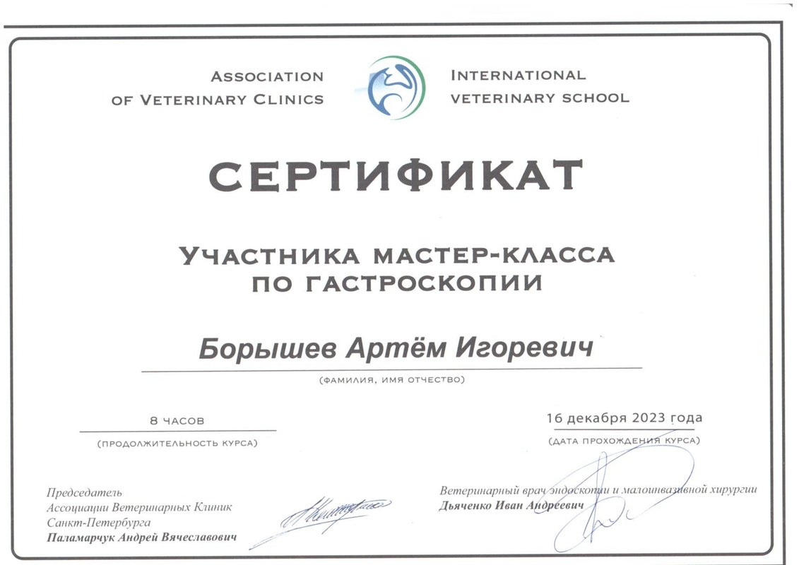 Документ или сертификат