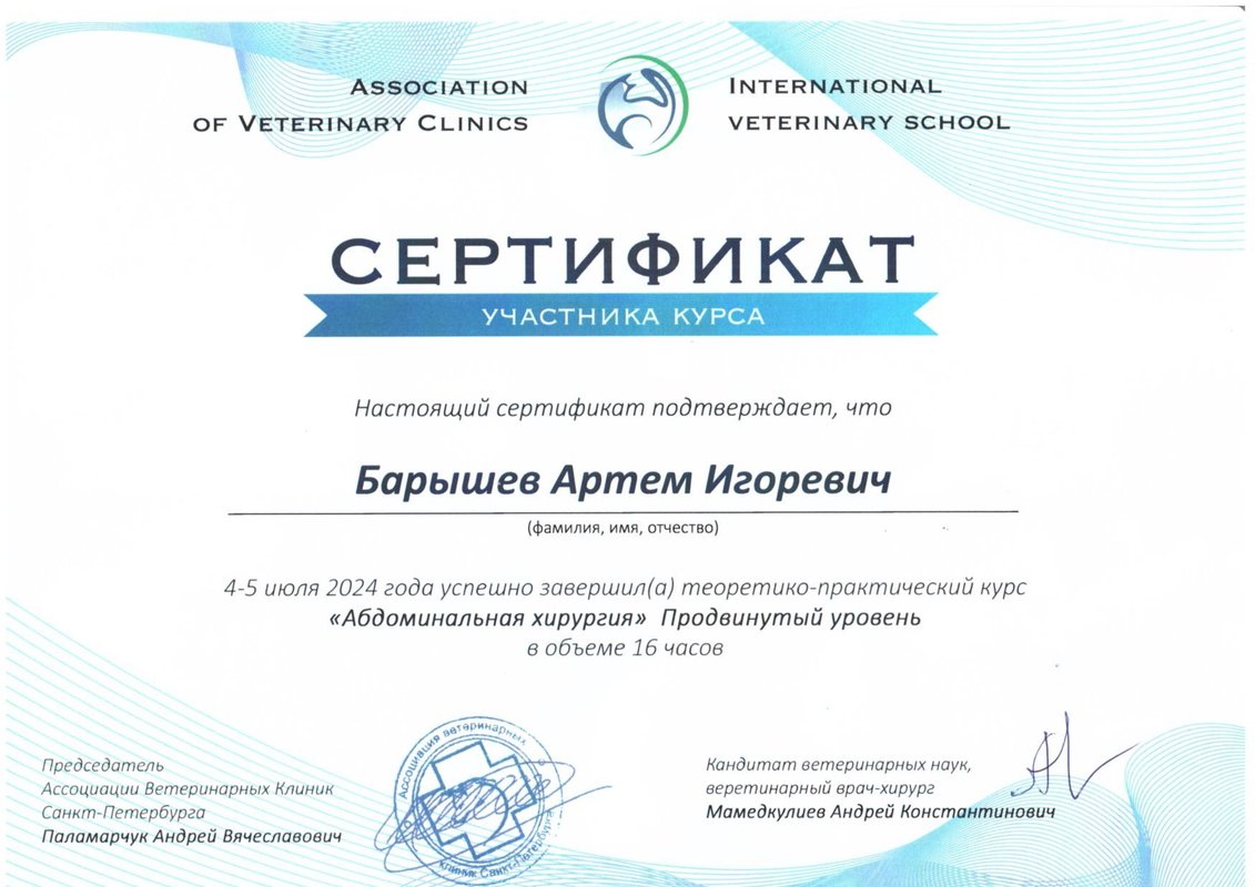 Документ или сертификат